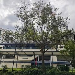 Blk 534 Panshan Grove (Bukit Panjang), HDB 5 Rooms #530313571